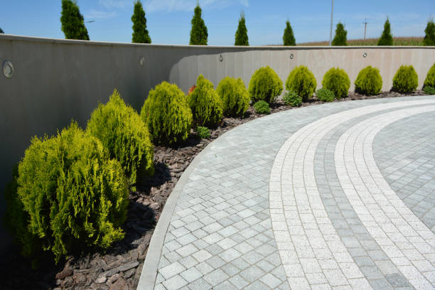 Best Commercial Driveway Pavers  in Hollis, OK